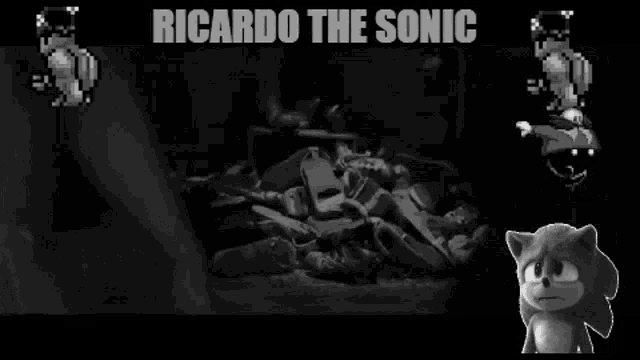 Ricardo Sonic GIF - Ricardo Sonic Ricardo The Sonic GIFs