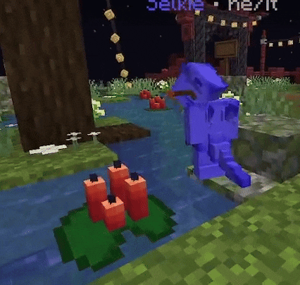 a screenshot of a video game with the name selkie written in blue