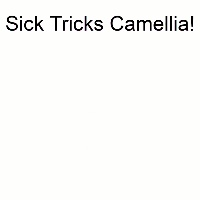 Sick Tricks Camellia GIF - Sick Tricks Camellia Camelliafnf GIFs