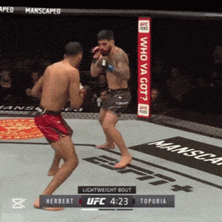 a ufc fight between herbert and topuria