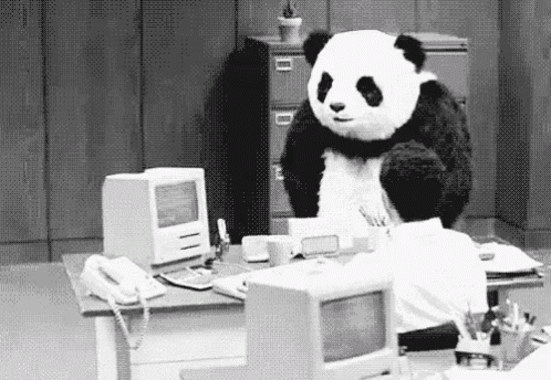 為什麼！ GIF - Why Angry Panda GIFs