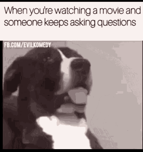 So Relatable Film GIF - So Relatable Film Always Asking Questions GIFs