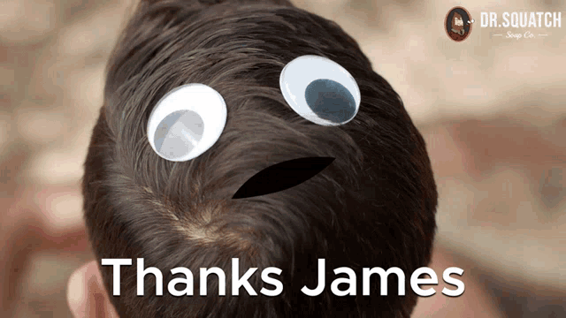 a picture of a person 's head with googly eyes and the words thanks james
