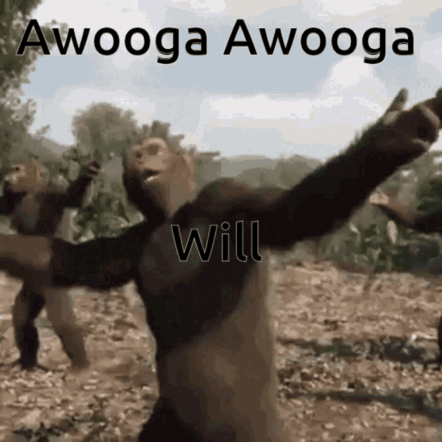 a group of monkeys are dancing with the words awooga awooga will