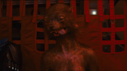 Crazy Face Weasel GIF - Crazy Face Weasel The Suicide Squad GIFs