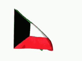 a green , white and red flag is waving in the wind .