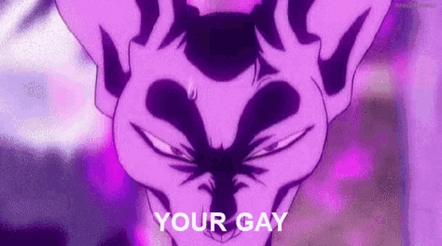 a close up of a purple cat with the words `` your gay '' on it .
