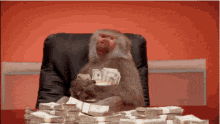 a monkey is sitting at a desk with a pile of money
