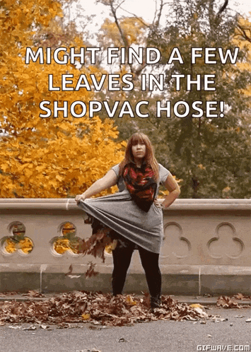 a woman is standing in a pile of leaves with a caption that says might find