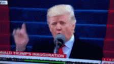 Trump Gross GIF - Trump Gross GIFs