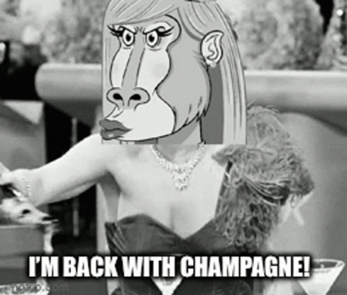 Champagne Queenboon GIF - Champagne Queenboon Barboons GIFs