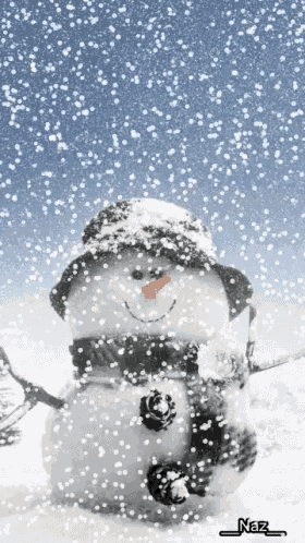 a snowman wearing a hat and scarf is standing in the snow with naz written on the bottom right
