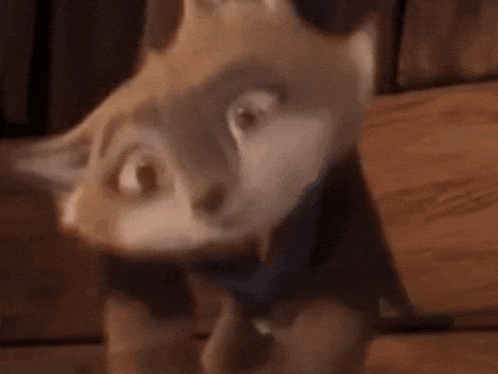 a close up of a cartoon fox with a surprised look on his face .
