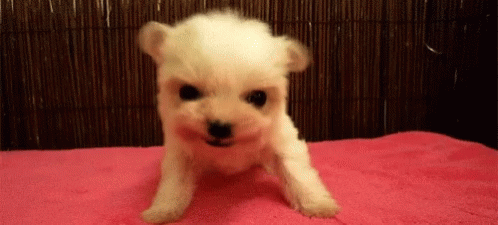 Fearsome Puppy GIF - Fearsome Puppy Roar GIFs