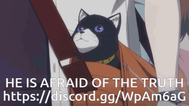 a cat with blue eyes is sitting in a person 's purse with the text he is afraid of the truth at the bottom