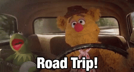 kermit the frog and fozzie bear are driving a car with the words road trip written on the screen