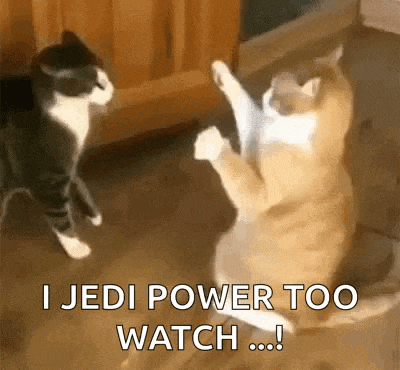 two cats are playing with each other on the floor and one of them says `` i jedi power too watch ... ''