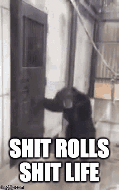 a chimpanzee is standing in a room with the words `` shit rolls shit life '' written on it .