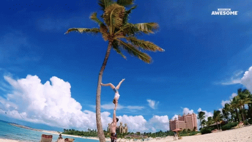 Handstand People Are Awesome GIF - Handstand People Are Awesome Balancing Upside Down GIFs