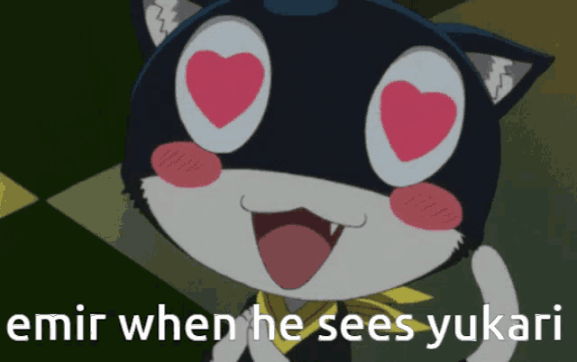 a picture of a cat with heart shaped eyes and the words emir when he sees yukari below it