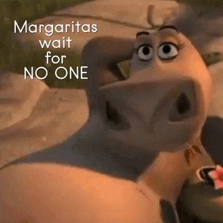 Drinking Day GIF - Drinking Day Margaritas Wait For No One GIFs