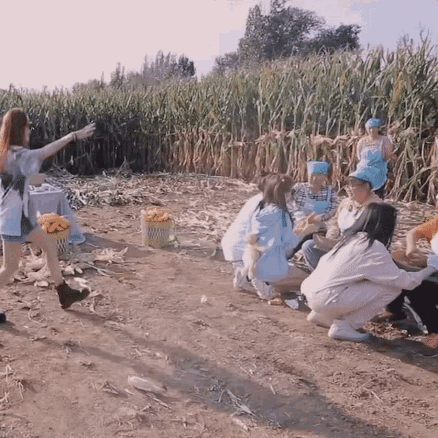 a group of people are gathered in a field eating corn