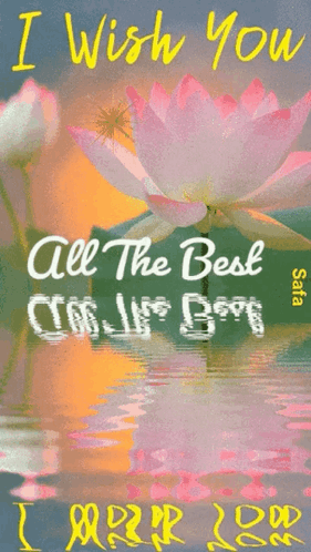 I Wish You All The Best Flowers GIF - I Wish You All The Best Flowers GIFs