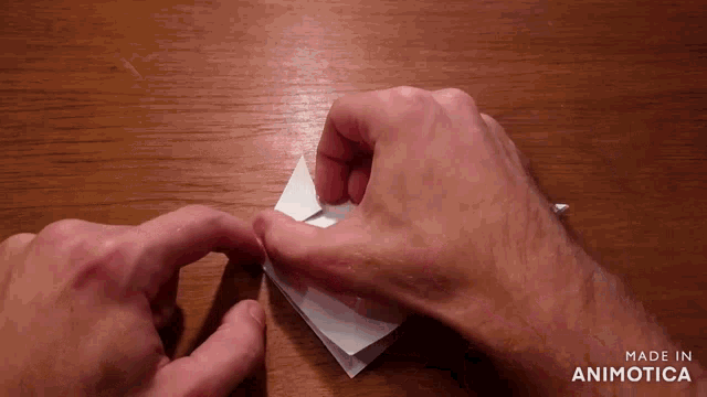 a person folding a piece of paper with the words made in animotica below