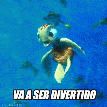 Chiqui Va A Ser Divertido GIF - Turtle Sea Turtle Chiqui GIFs