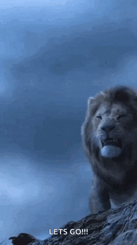Lion Roaring GIF - Lion Roaring GIFs