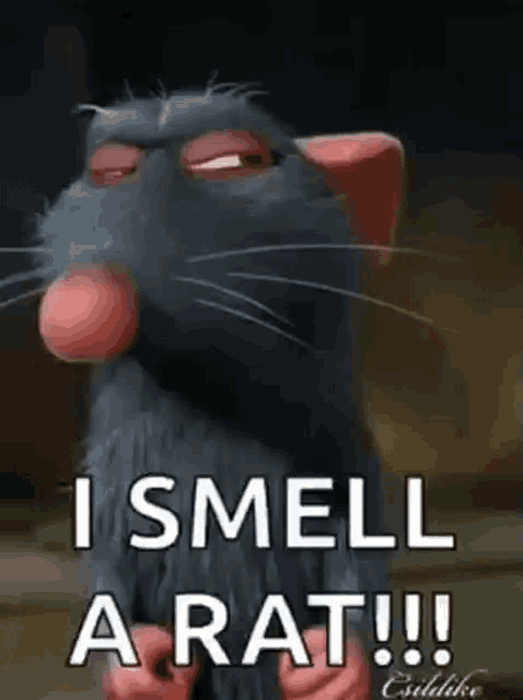 a cartoon rat says `` i smell a rat ! ''
