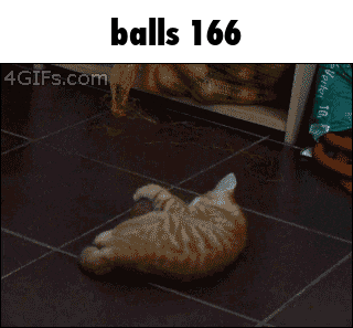 a picture of a cat and the words balls 166 on the bottom