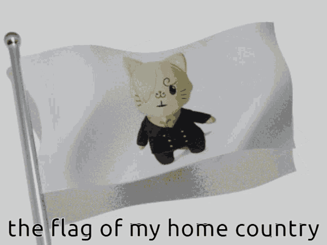 a white flag with a cat on it and the words " the flag of my home country "