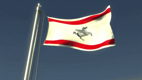 a white red and black flag with a pegasus on it