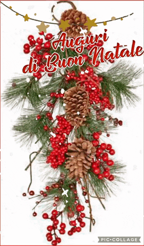 a christmas card with pine cones and red berries with the words auguri di buon natale on it
