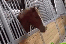 Horse Cool GIF - Horse Cool Familyguy GIFs