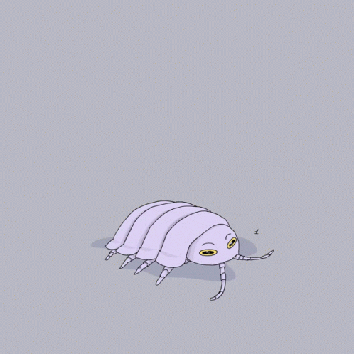 Isopod Isopodo GIF - Isopod Isopodo Chica Percebe GIFs