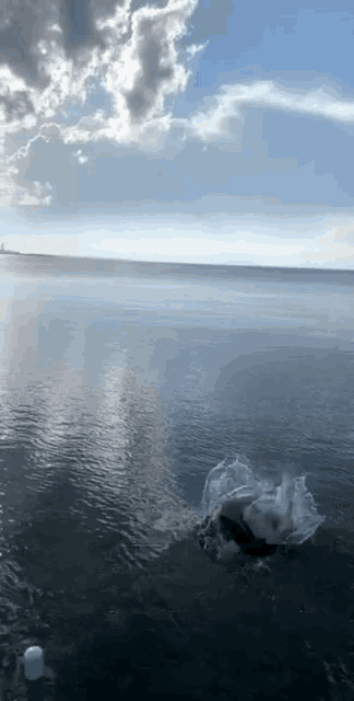 a person is swimming in the ocean with a blue sky in the background