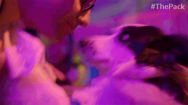 a dog is sniffing a woman 's face in a purple light with the hashtag #thepack visible