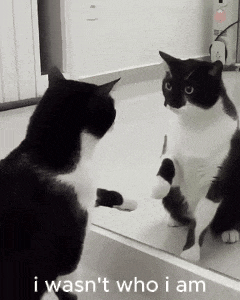 a black and white cat looking at itself in a mirror with the words " i wasn 't who i am " below it