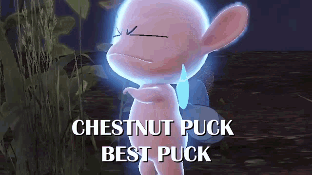 a cartoon character with the words chestnut puck best puck written below it