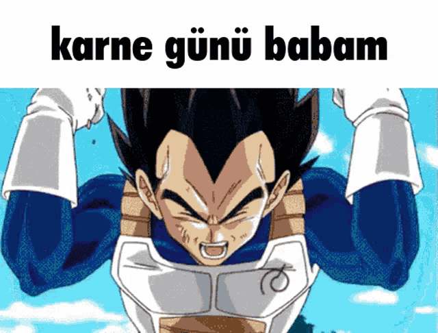 a picture of a cartoon character with the words karne gunu babam above him