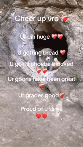 a text that says cheer up vro on it