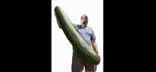 a man in a blue shirt holds a very large cucumber