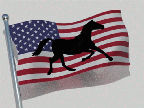 Horse Flag Usa Flag GIF - Horse Flag Usa Flag Us Flag GIFs