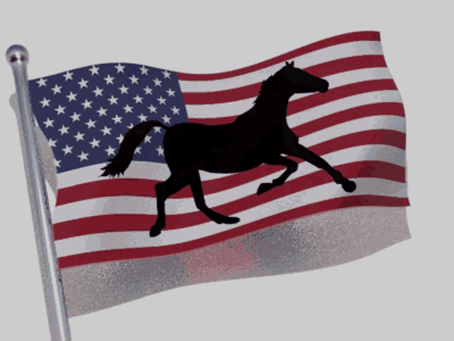 an american flag with a silhouette of a running horse on it
