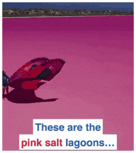 a picture of a pink salt lagoon with the words " these are the pink salt lagoons " below it