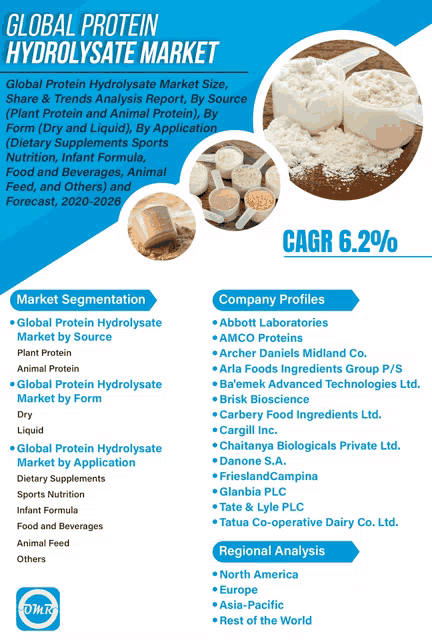 a poster for the global protein hydrolysate market shows a scoop of protein