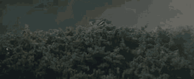 a helicopter is flying through a cloudy sky in a dark forest .