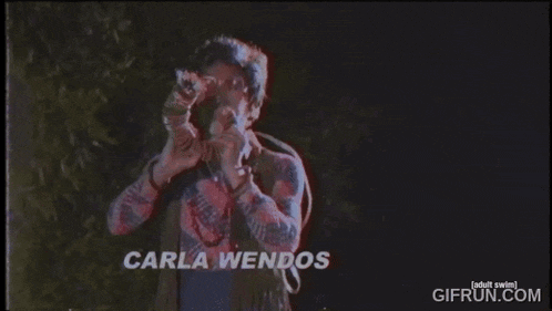 a man in a plaid shirt is holding a camera in front of his face and says carla wendos .